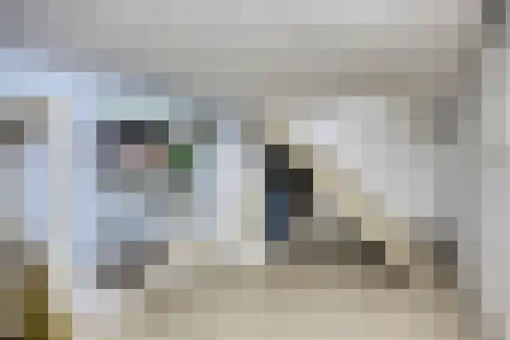 van Alphenstraat 45 Voorburg thumbnail 32