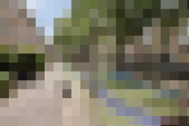van Alphenstraat 45 Voorburg thumbnail 35