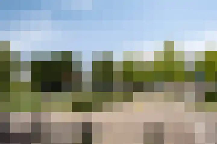 van Alphenstraat 45 Voorburg thumbnail 37