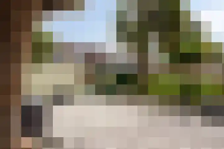 van Alphenstraat 45 Voorburg thumbnail 42