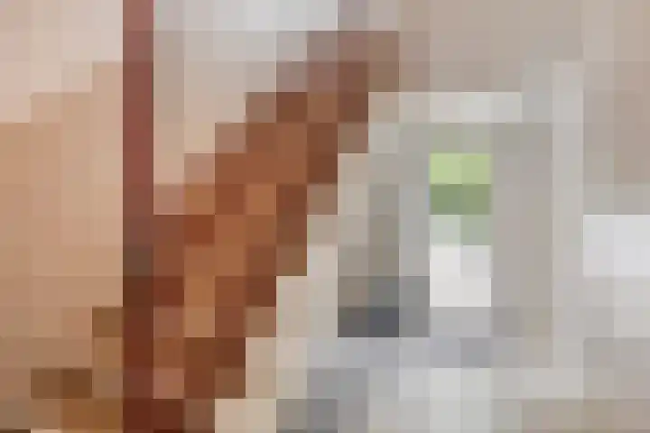 van Alphenstraat 45 Voorburg thumbnail 7