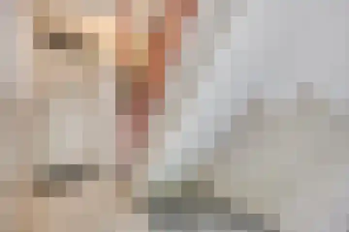 van Alphenstraat 45 Voorburg thumbnail 8