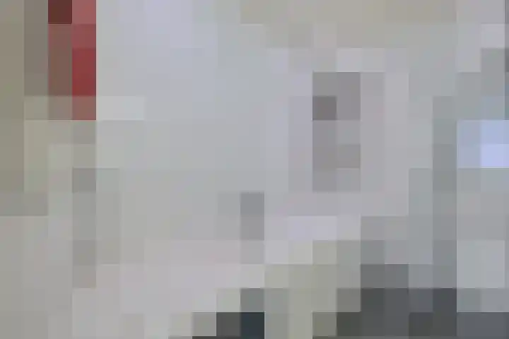 Van Alphenstraat 5 Enschede thumbnail 43