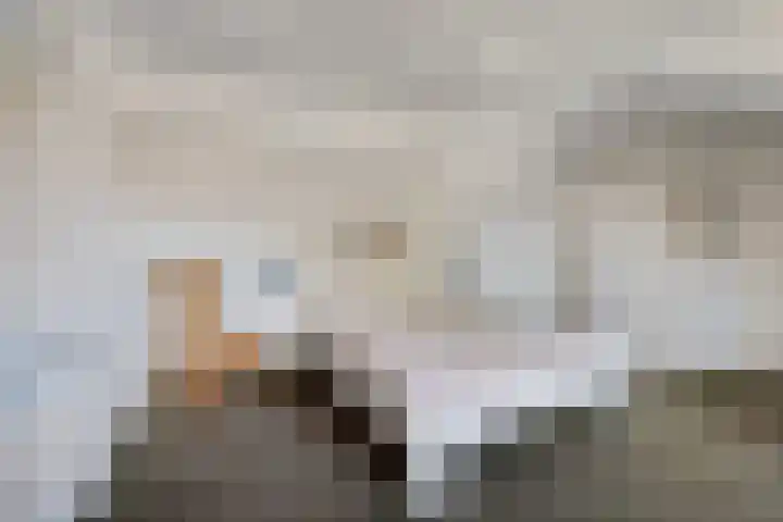 Van Alphenstraat 5 Enschede thumbnail 47