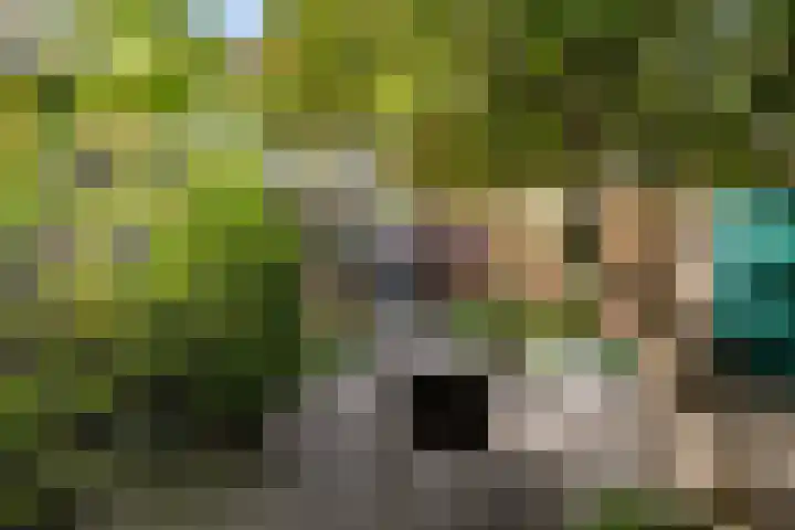 Van Alphenstraat 5 Enschede thumbnail 51