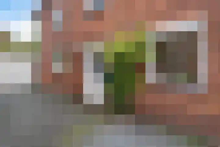 Van Alphenstraat 5 Enschede thumbnail 6