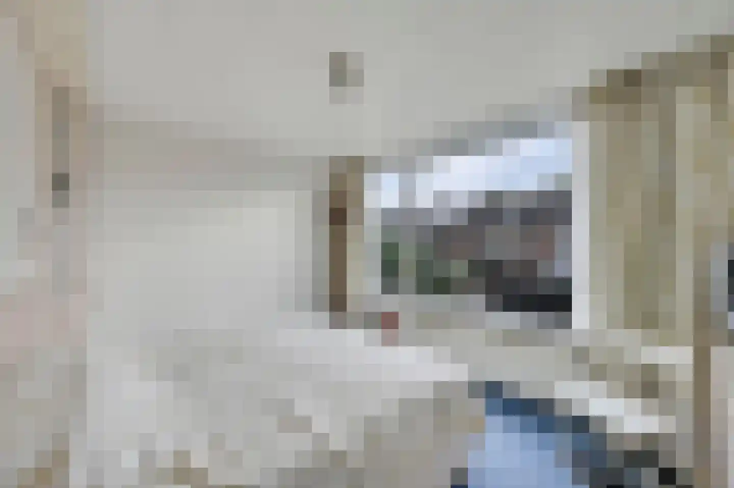 Van Alphenstraat 5 Maassluis thumbnail 22