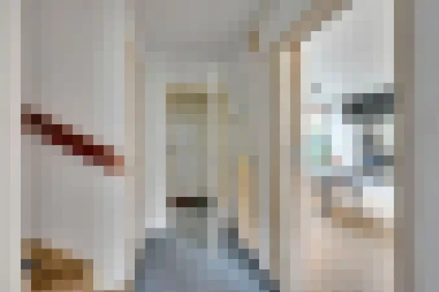 Van Alphenstraat 5 Maassluis thumbnail 7