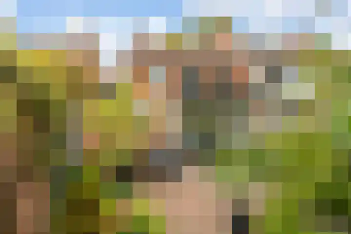 Van Alphenstraat 7 Enschede thumbnail 33