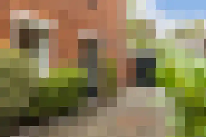 Van Alphenstraat 7 Enschede thumbnail 35