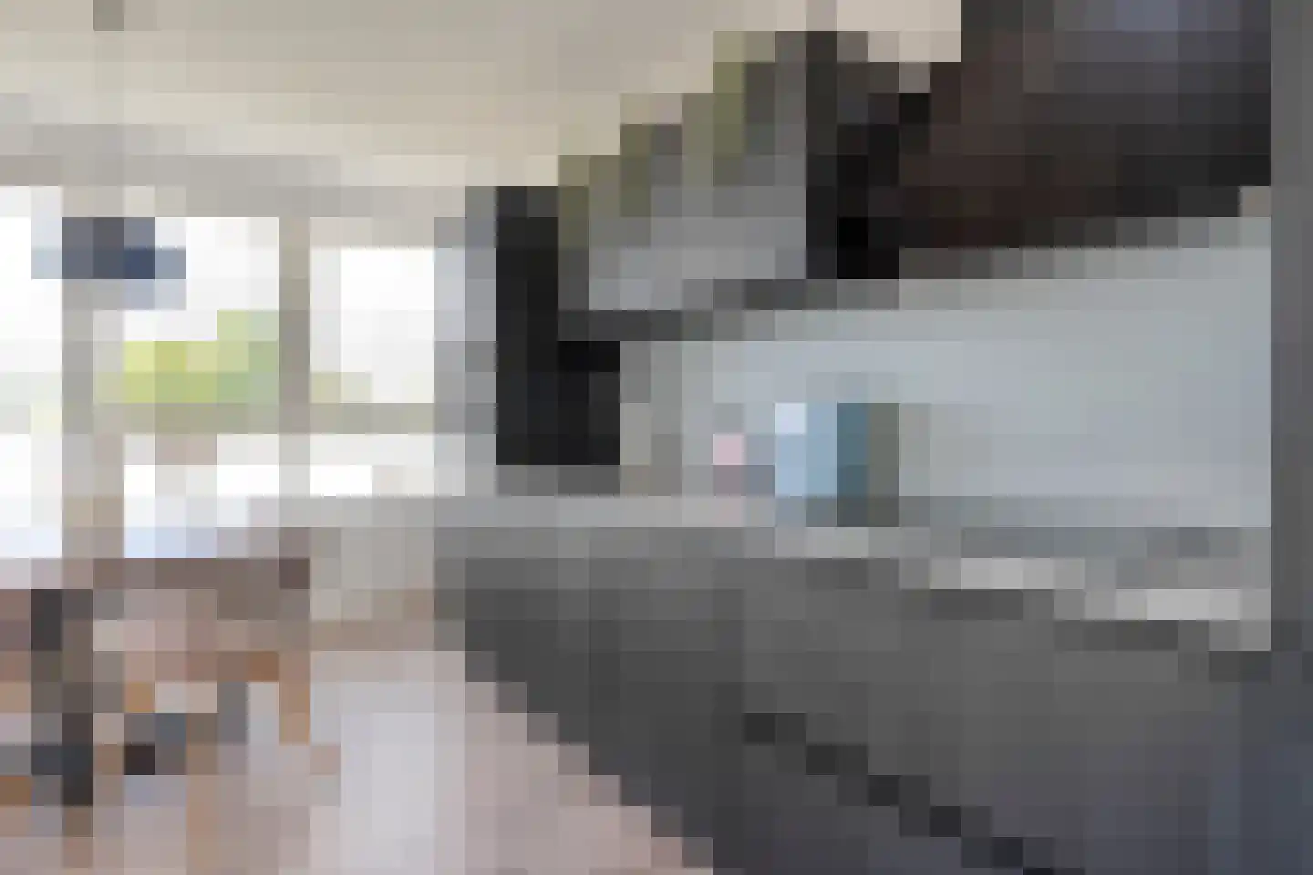 van Alphenstraat 71 Nijverdal thumbnail 13