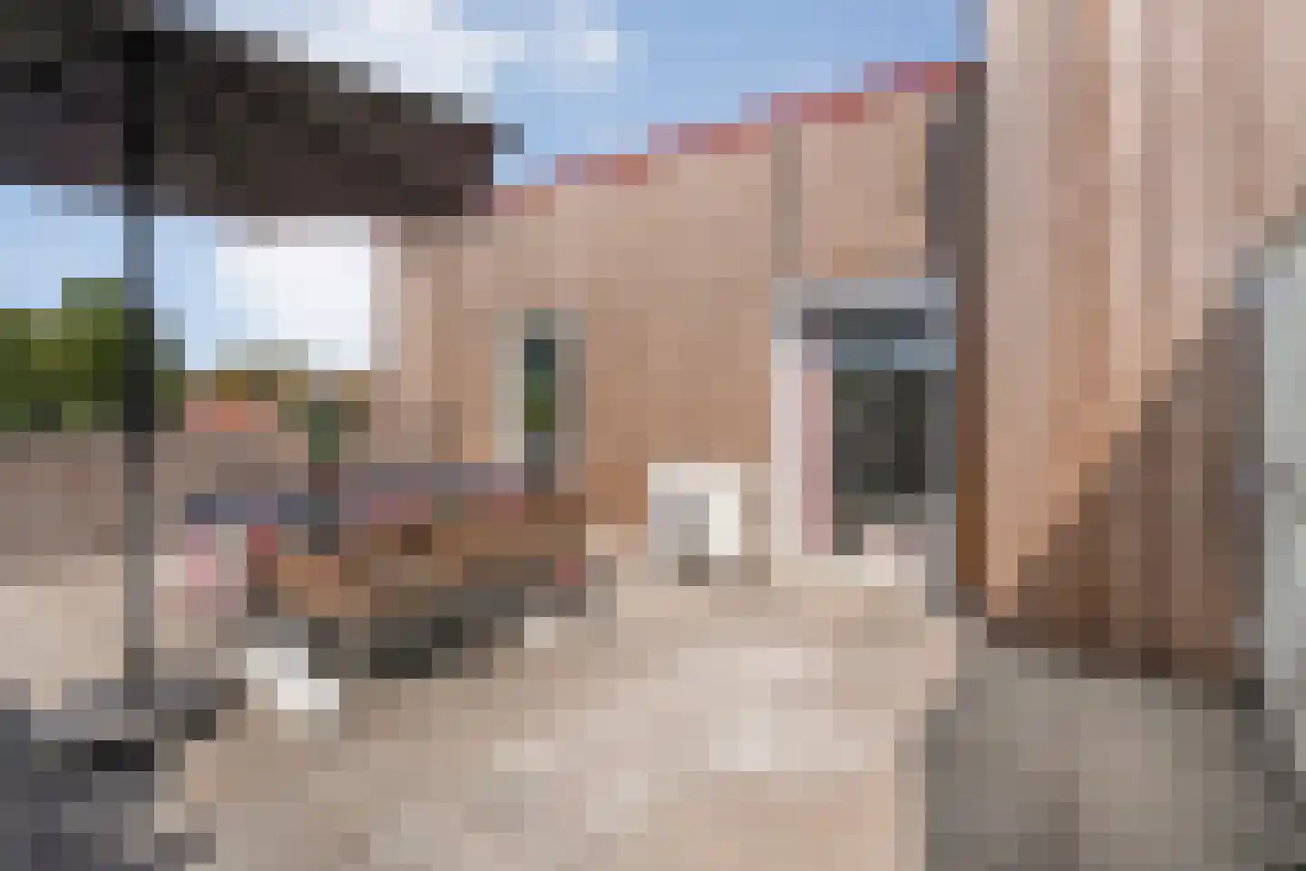 van Alphenstraat 71 Nijverdal thumbnail 21