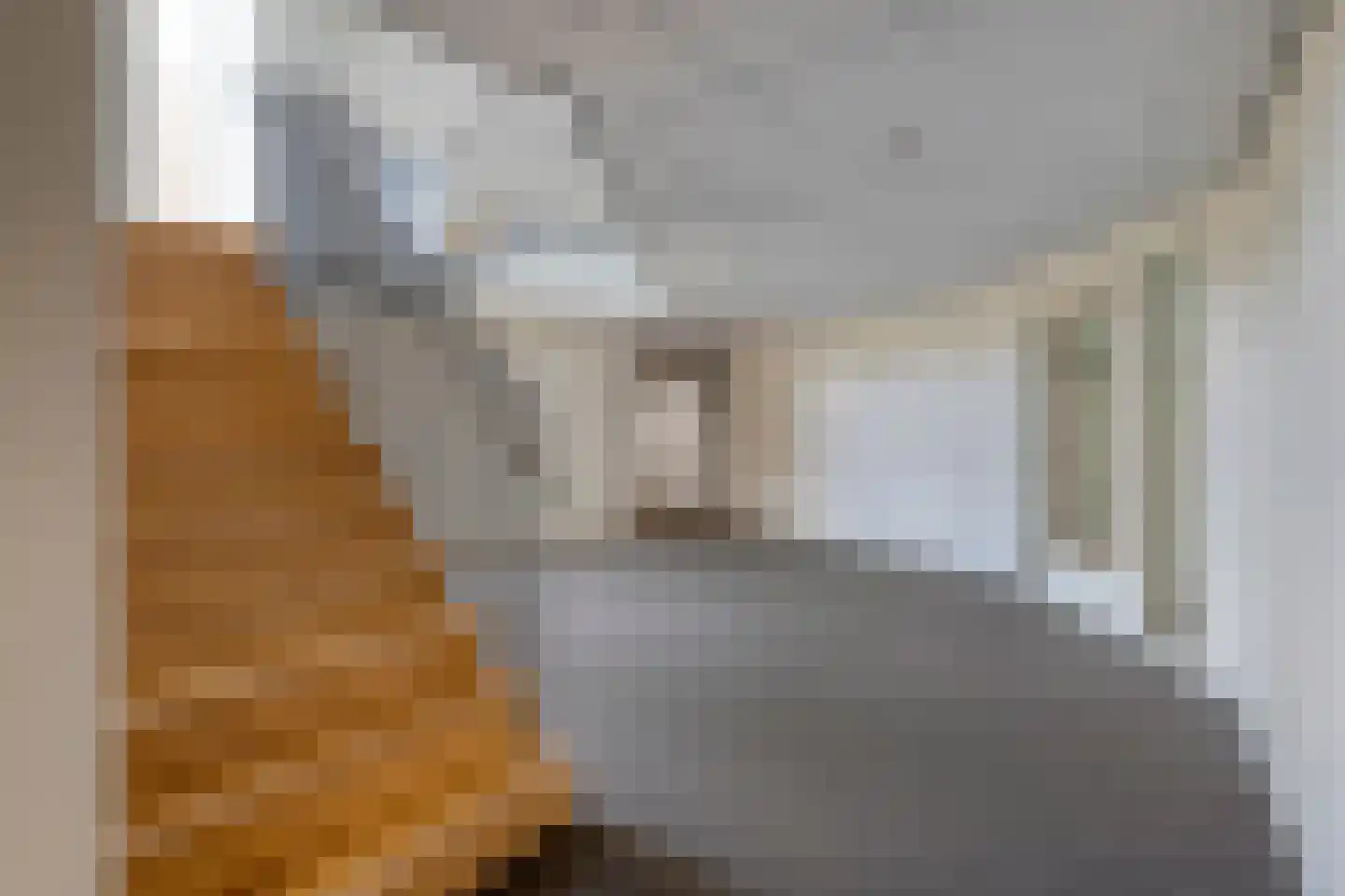 van Alphenstraat 71 Nijverdal thumbnail 33