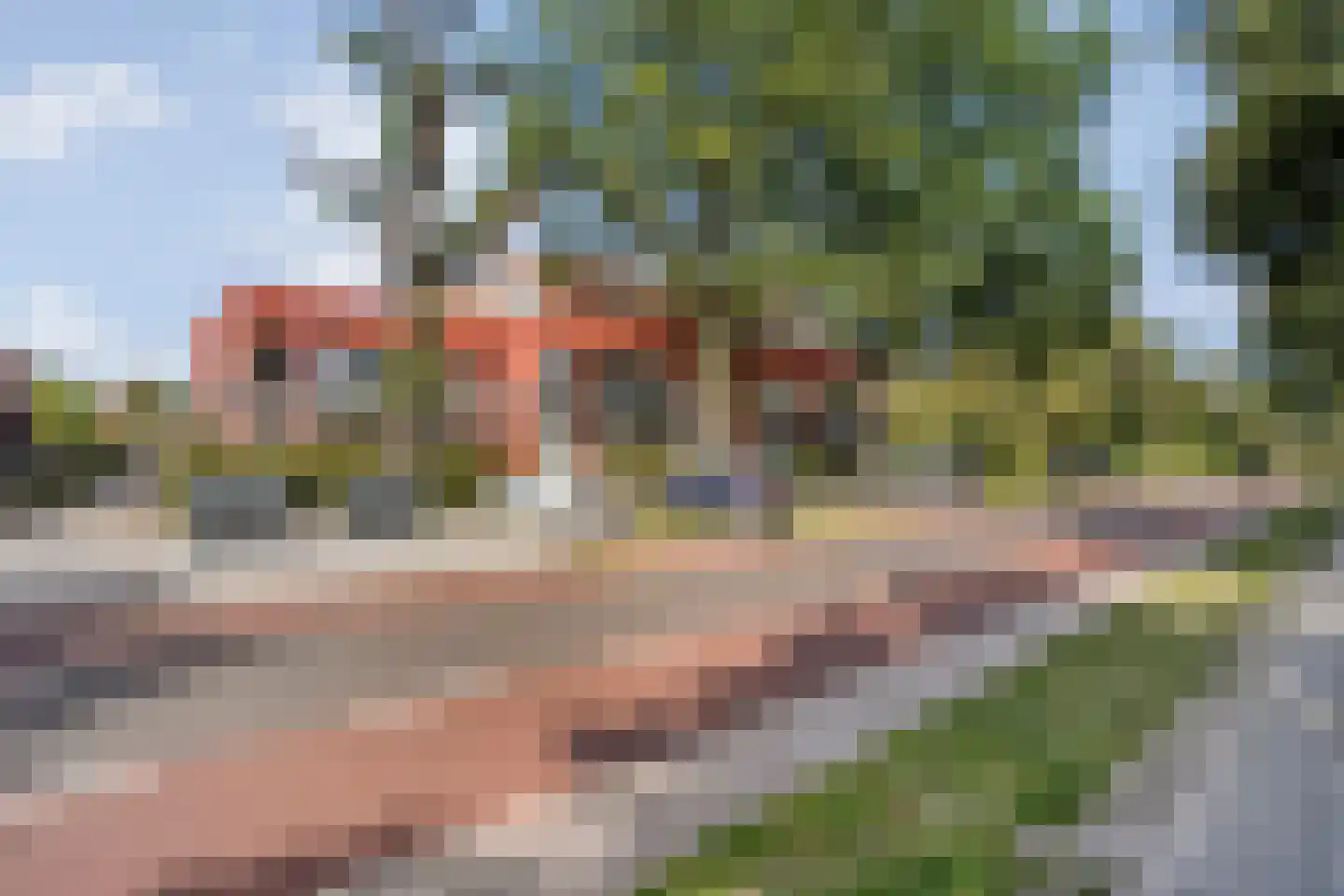 van Alphenstraat 71 Nijverdal thumbnail 42