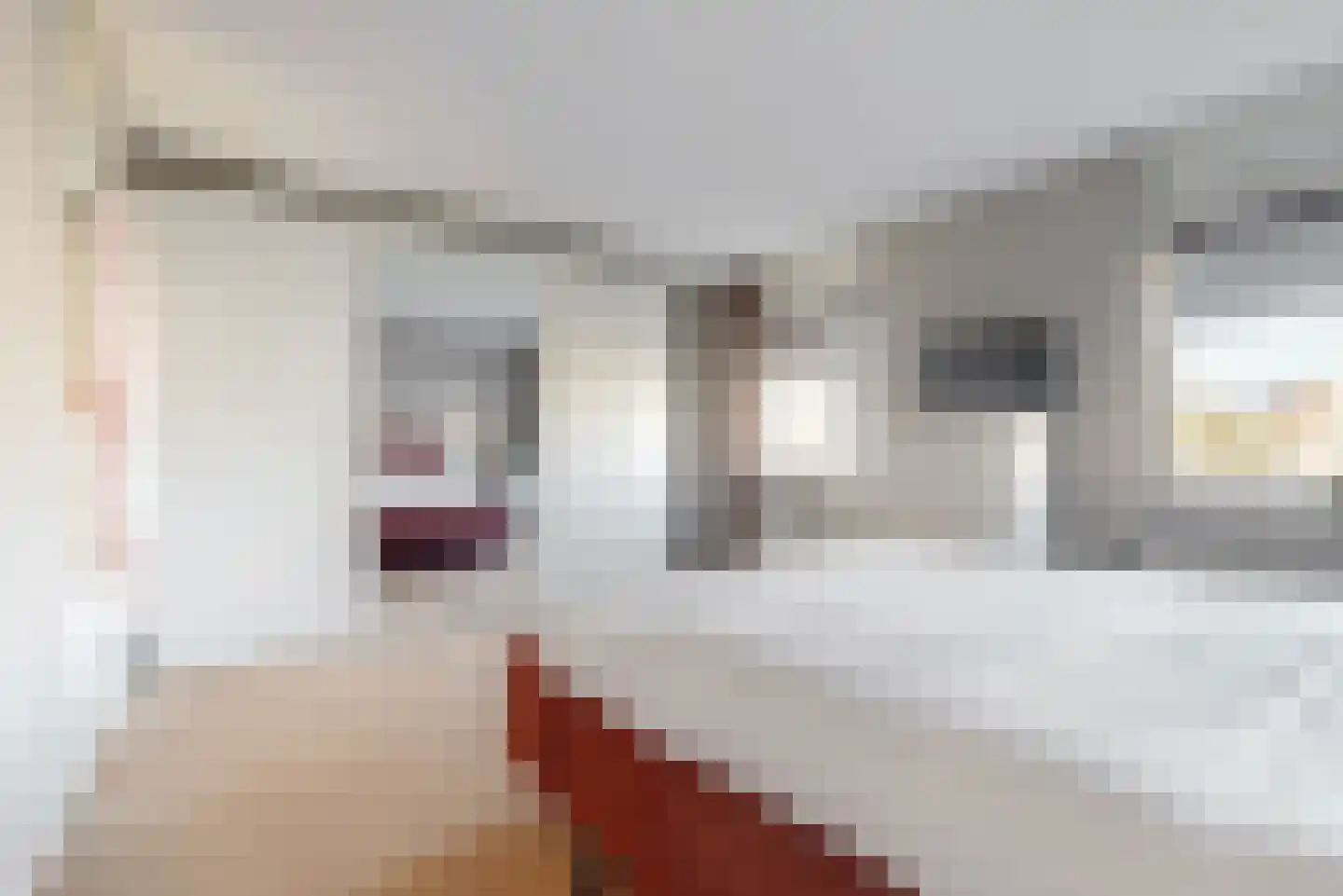 Van Alphenstraat 8 Maassluis thumbnail 21