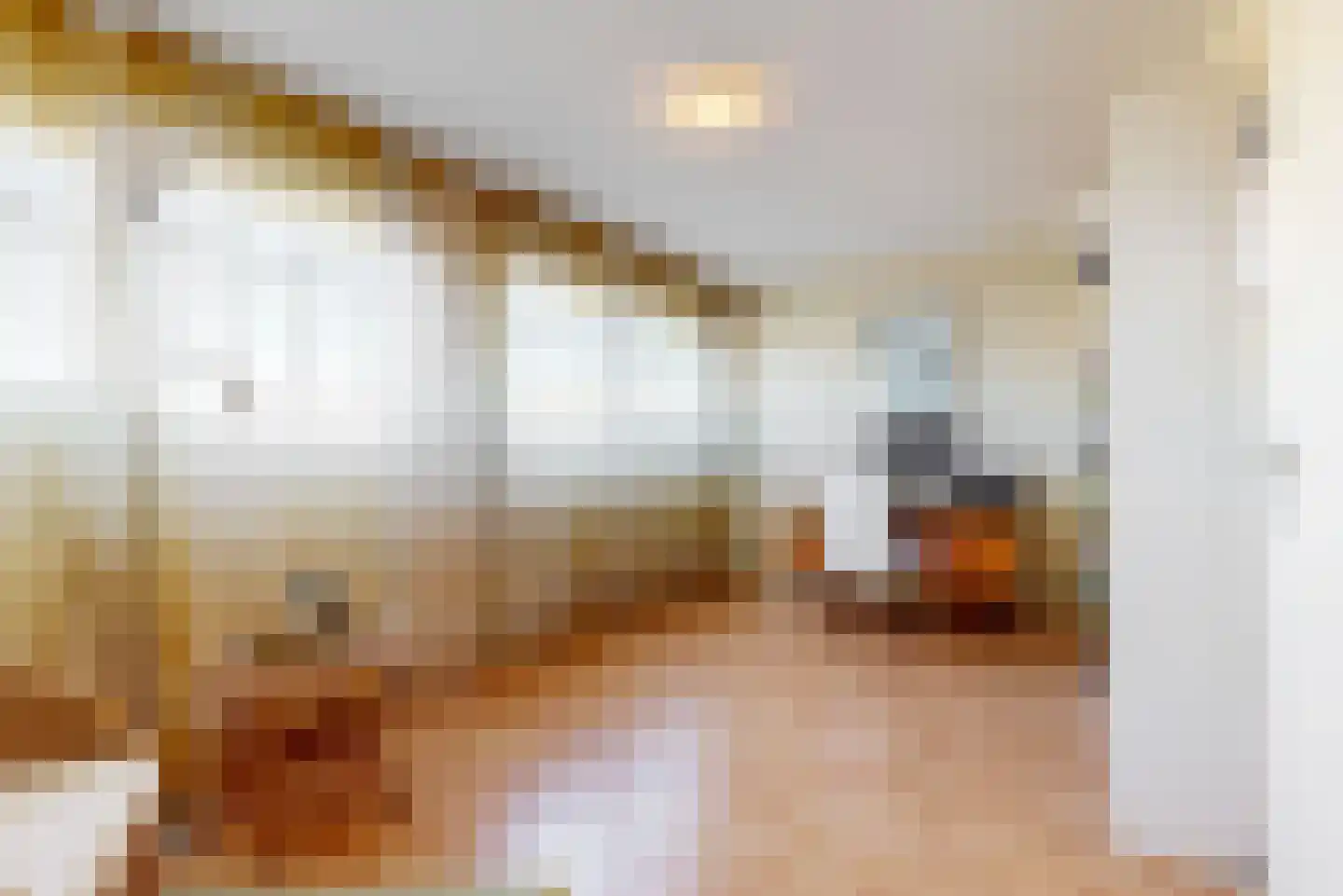 Van Alphenstraat 8 Maassluis thumbnail 29