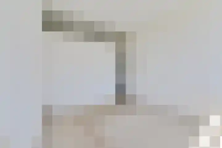 van Alphenstraat 81 Voorburg thumbnail 12