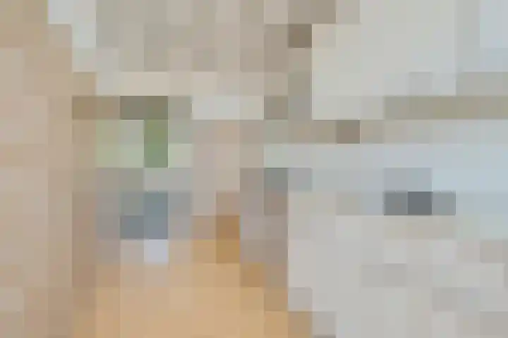 van Alphenstraat 81 Voorburg thumbnail 15