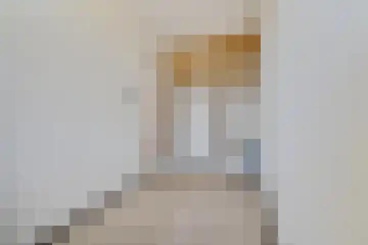 van Alphenstraat 81 Voorburg thumbnail 19