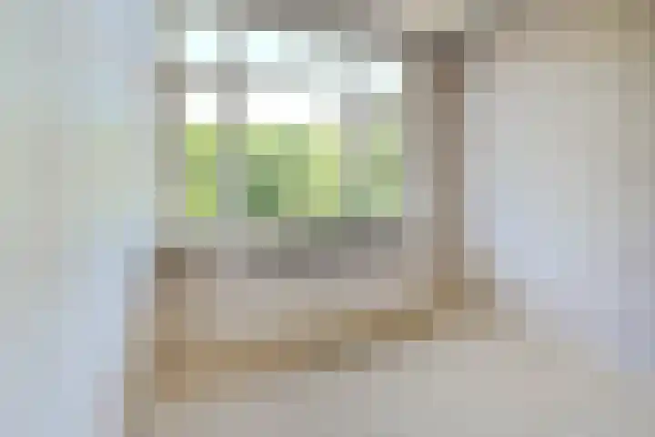 van Alphenstraat 81 Voorburg thumbnail 20