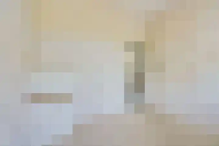 van Alphenstraat 81 Voorburg thumbnail 21