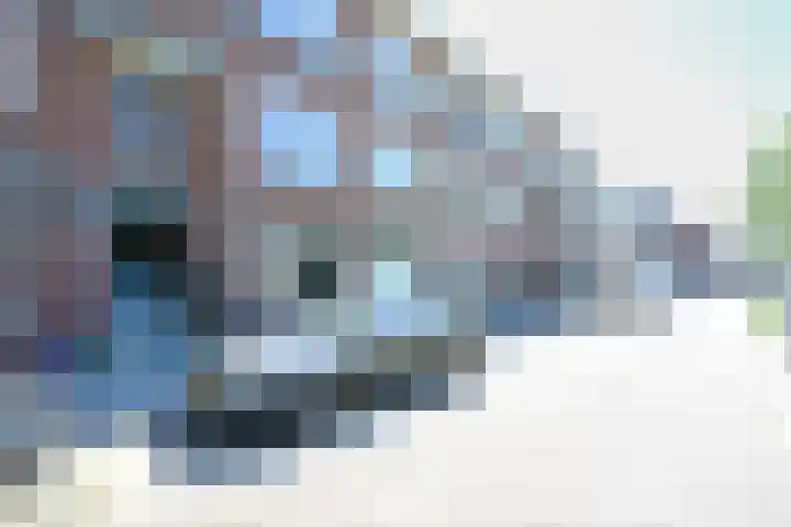 van Alphenstraat 81 Voorburg thumbnail 4