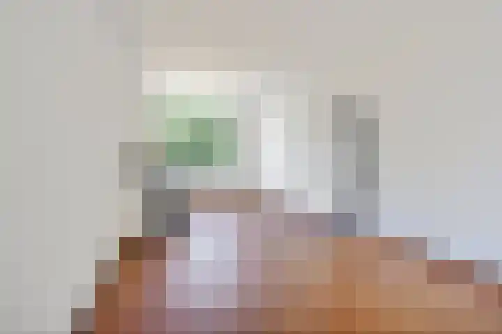 van Alphenstraat 81 Voorburg thumbnail 7