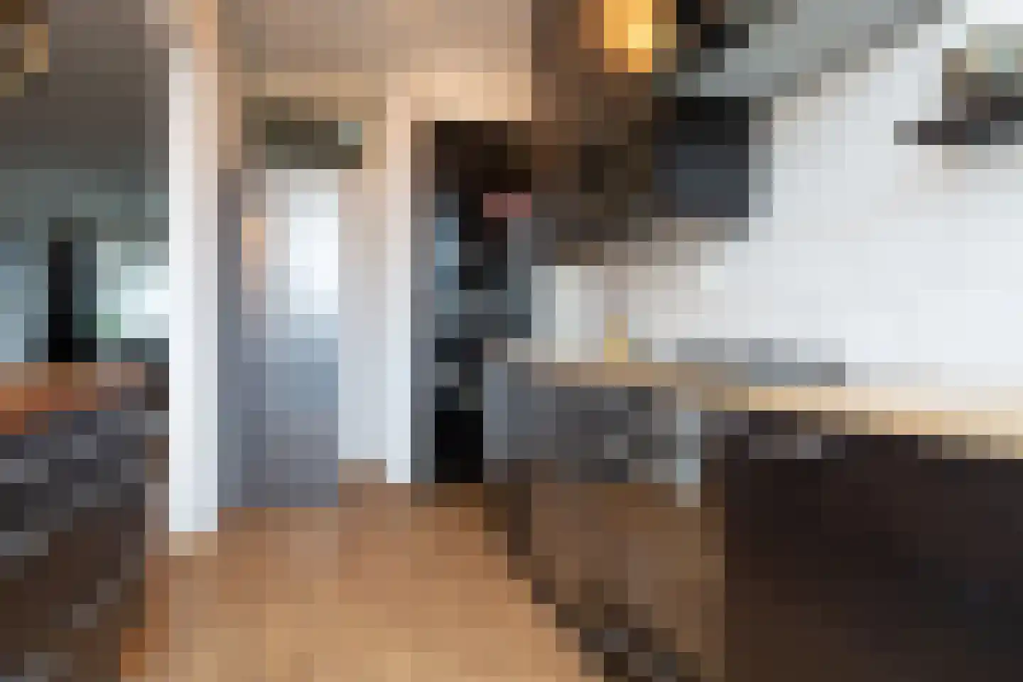van Alphenstraat 82 Voorburg thumbnail 13