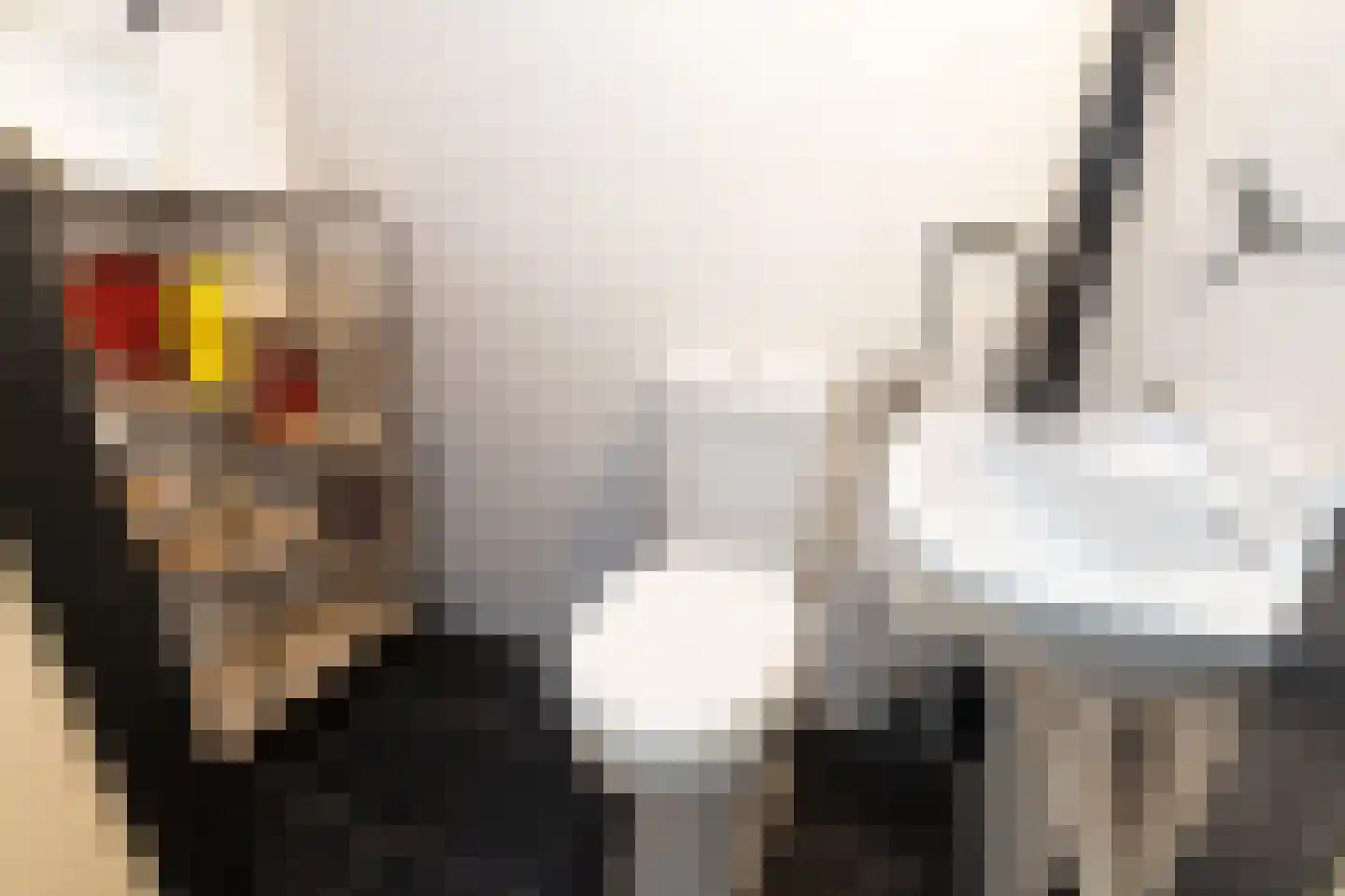 van Alphenstraat 82 Voorburg thumbnail 19