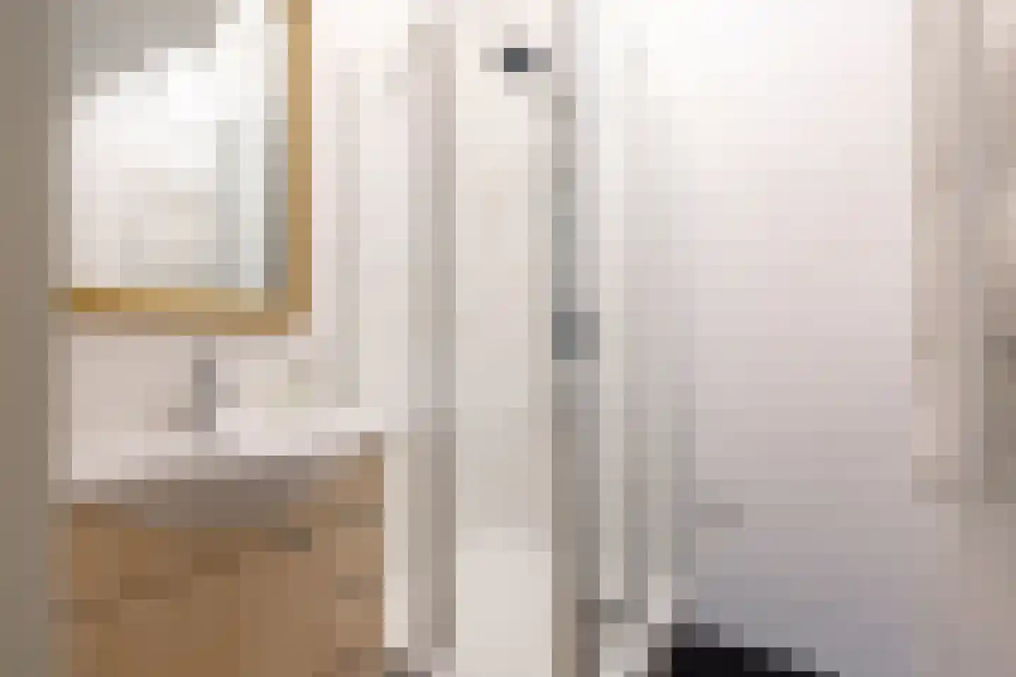 van Alphenstraat 82 Voorburg thumbnail 24