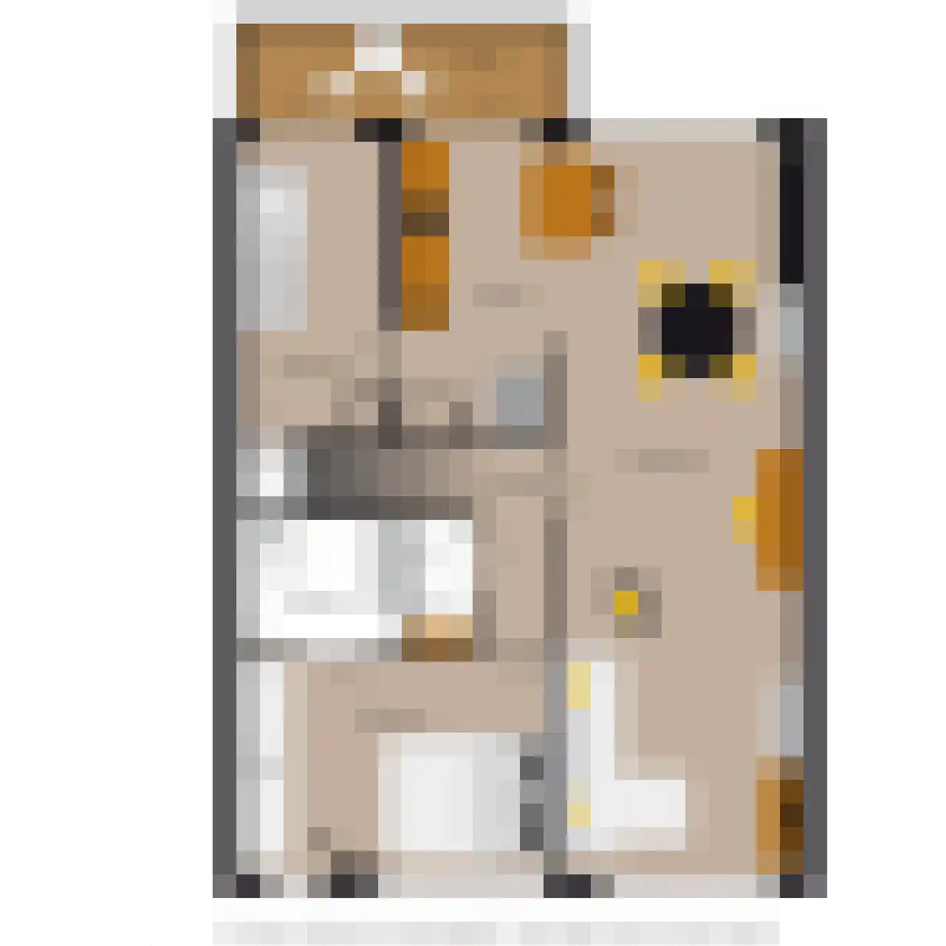 van Alphenstraat 82 Voorburg thumbnail 29