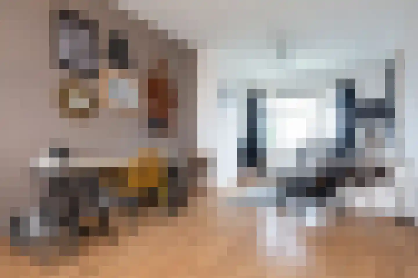 van Alphenstraat 82 Voorburg thumbnail 4
