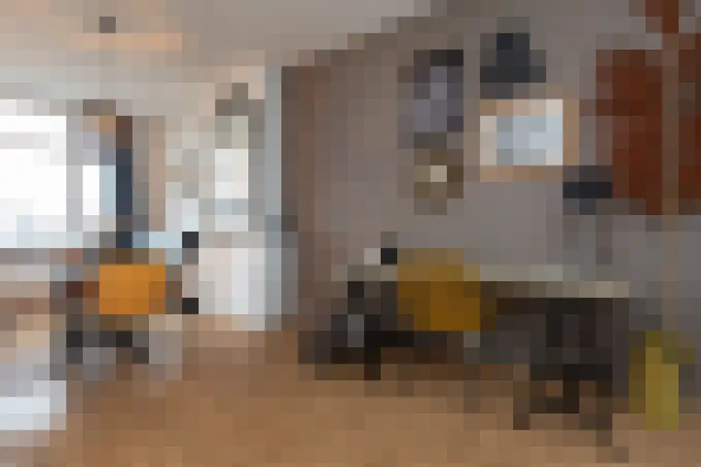 van Alphenstraat 82 Voorburg thumbnail 8