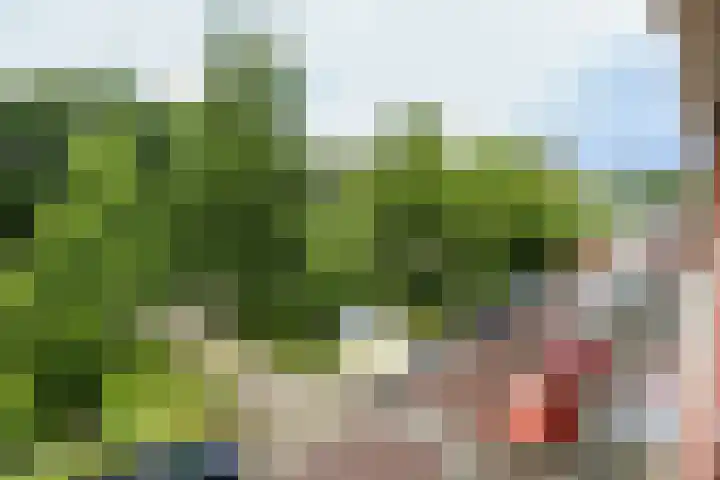 van Alphenstraat 83 Voorburg thumbnail 30