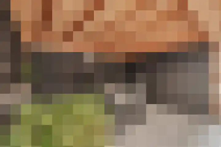 van Alphenstraat 9 Nijverdal thumbnail 21