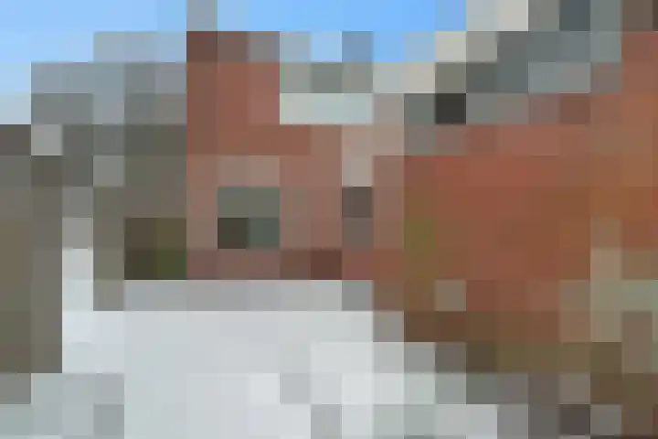 van Alphenstraat 9 Nijverdal thumbnail 25