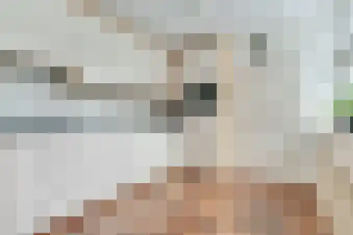 van Alphenstraat 9 Nijverdal thumbnail 6
