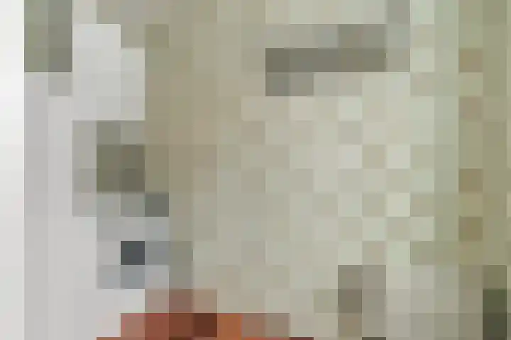 van Alphenstraat 9 Nijverdal thumbnail 9