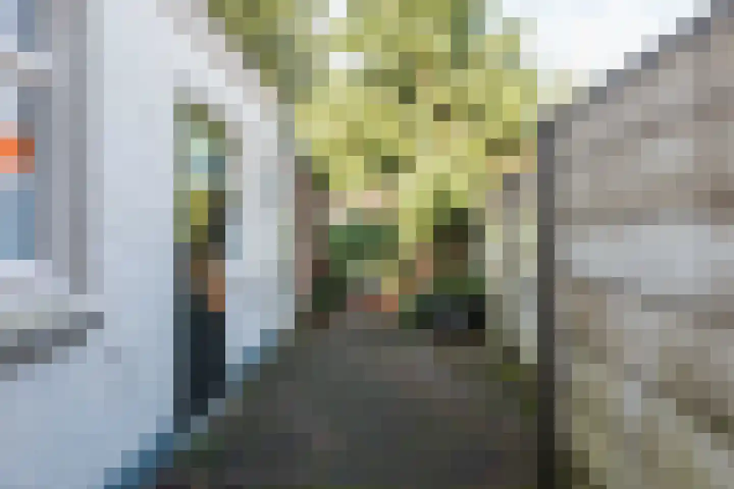 Van Alphenstraat 9 Tilburg thumbnail 25