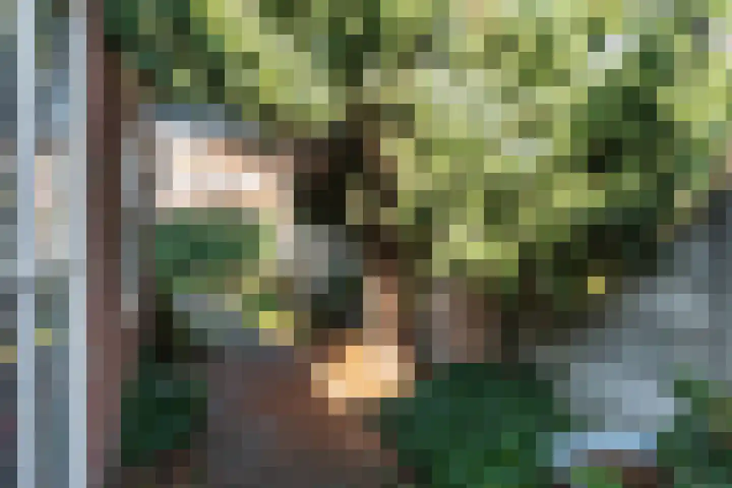 Van Alphenstraat 9 Tilburg thumbnail 26