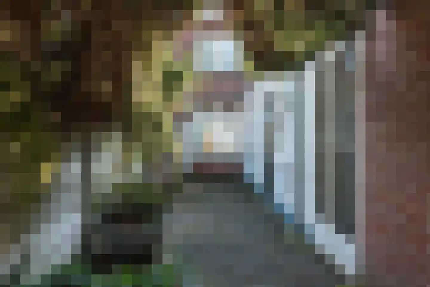 Van Alphenstraat 9 Tilburg thumbnail 30