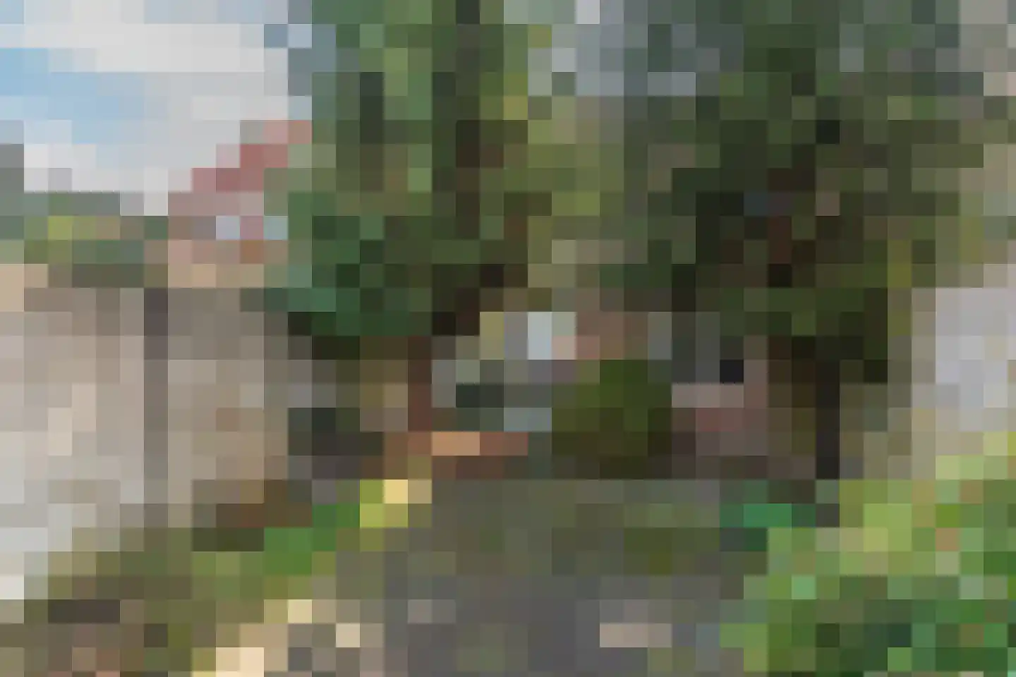 Van Alphenstraat 9 Tilburg thumbnail 4