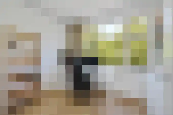 van Alphenstraat 91 Voorburg thumbnail 13