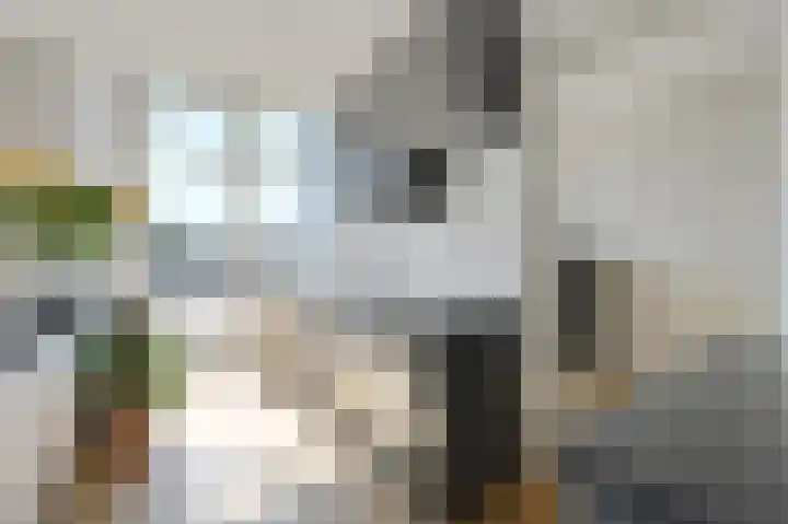 van Alphenstraat 91 Voorburg thumbnail 15