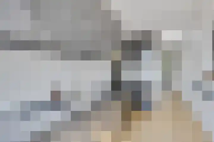 van Alphenstraat 91 Voorburg thumbnail 16