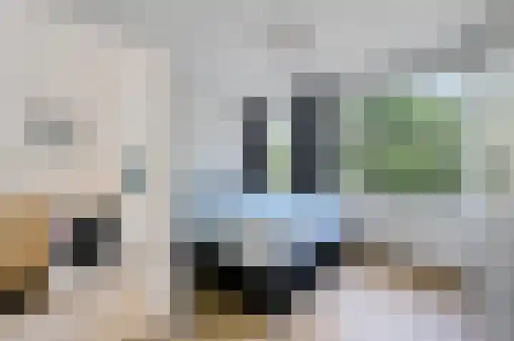 van Alphenstraat 91 Voorburg thumbnail 22