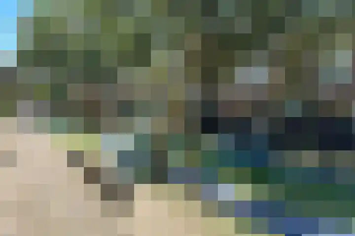 van Alphenstraat 91 Voorburg thumbnail 28
