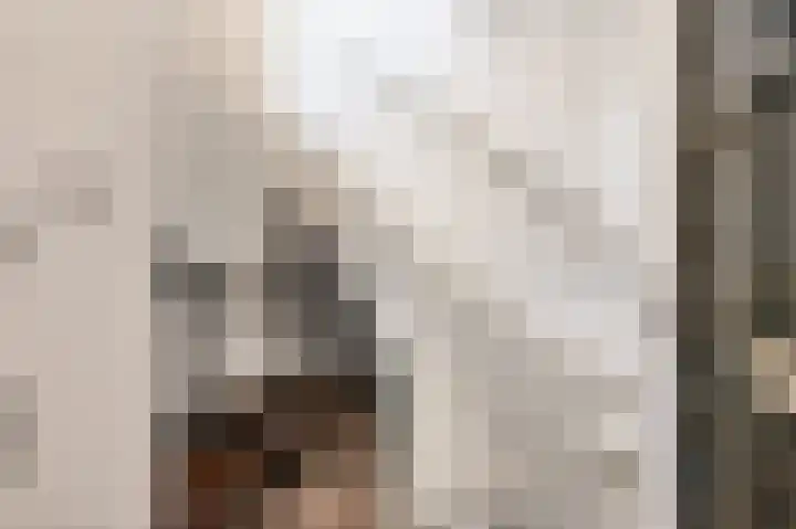 van Alphenstraat 91 Voorburg thumbnail 5