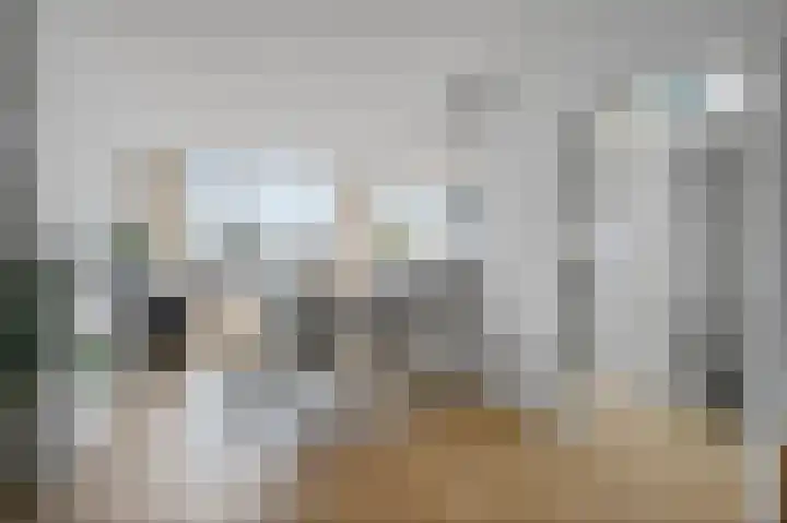 van Alphenstraat 91 Voorburg thumbnail 9