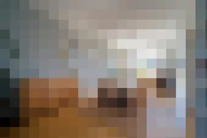van Alphenstraat 98 Voorburg thumbnail 11